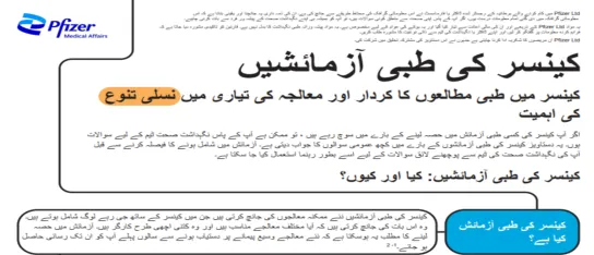 preview of the document which can be clicked through to 