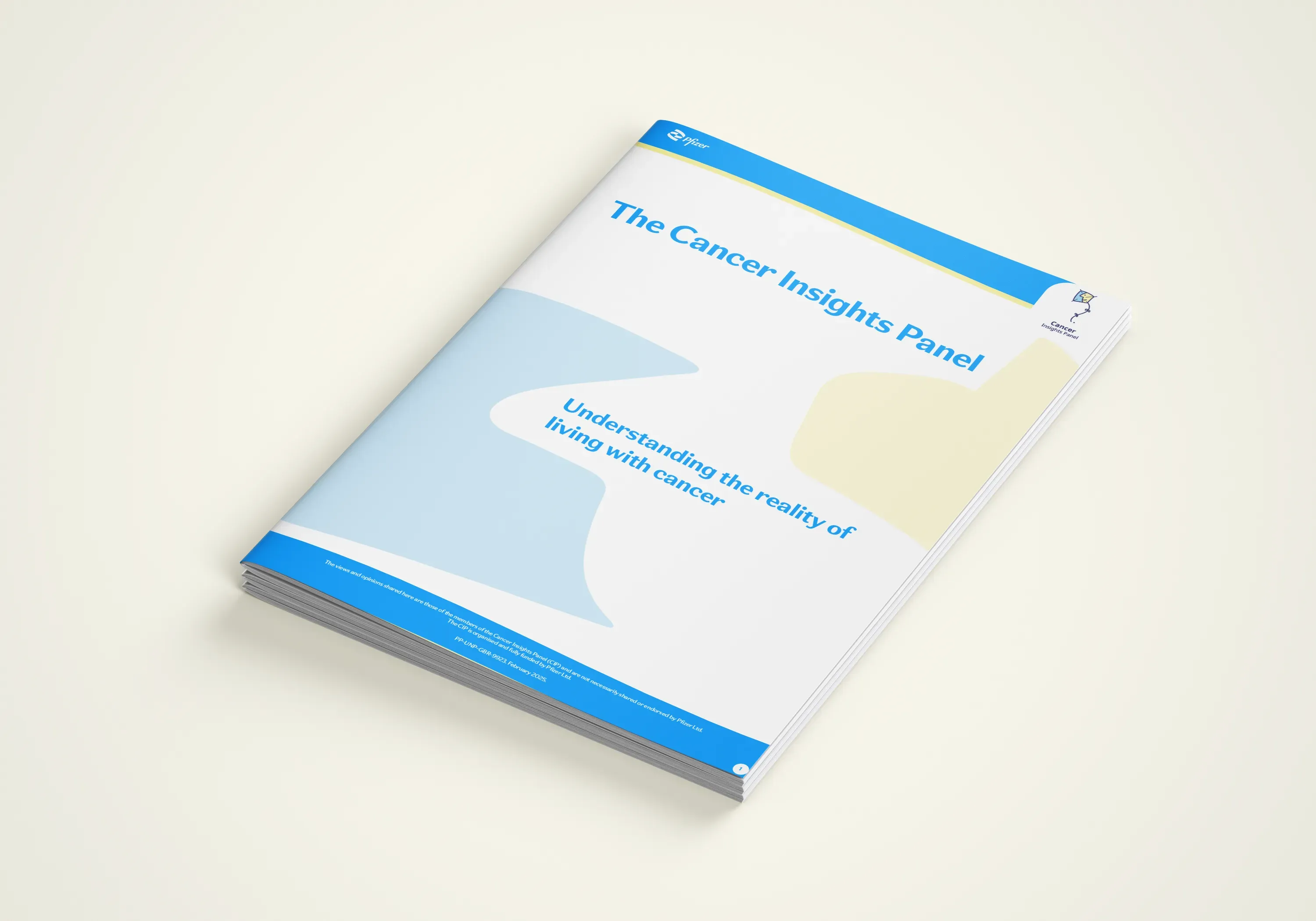 CIP Report 