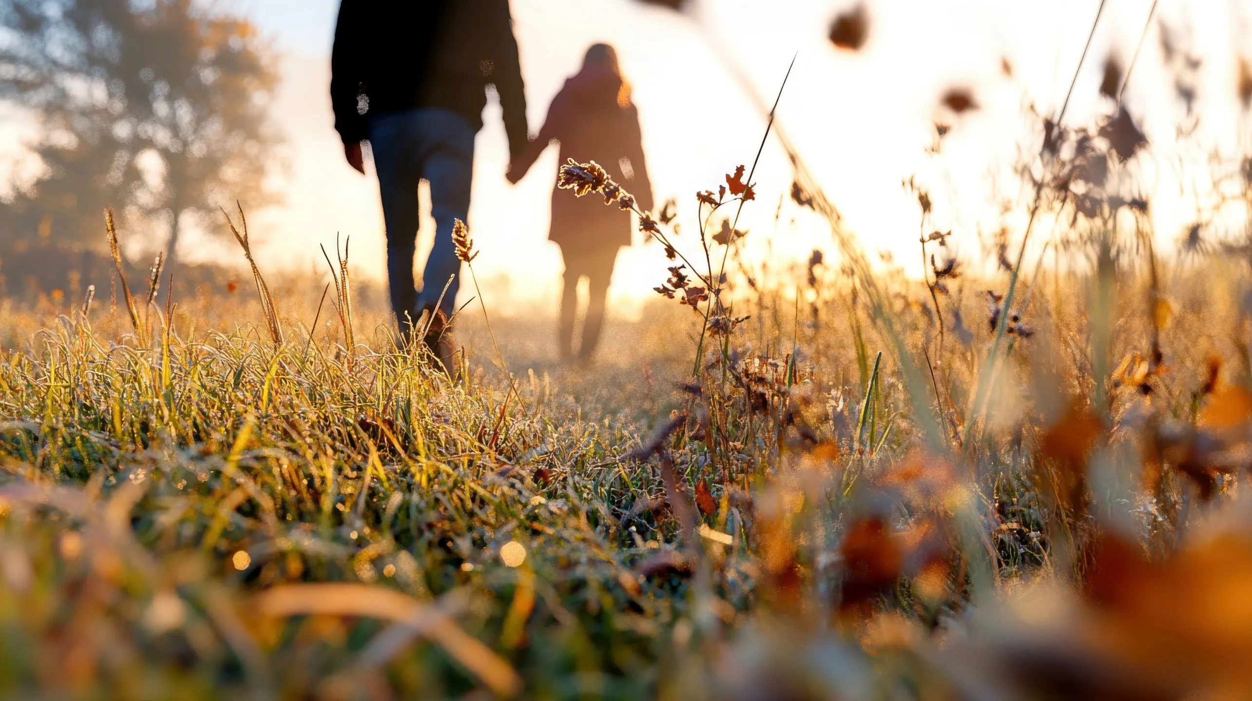 Image of two people walking in nature