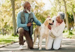 Couple enjoying time with their Golden Retriever dog in a sunny park.
